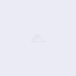 image-1-1 User avatar placeholder