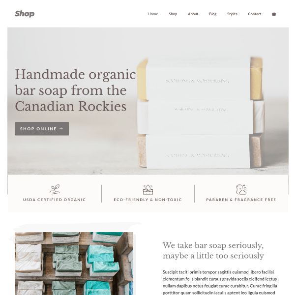 Plantilla Shop