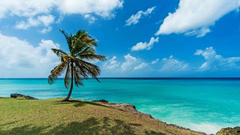 Beach in Barbados